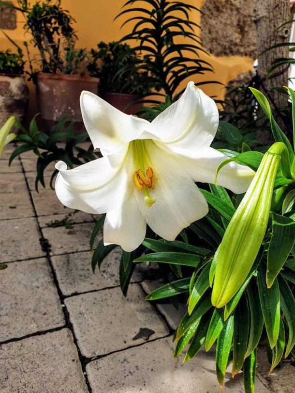 Traditional Accommodation in South Crete